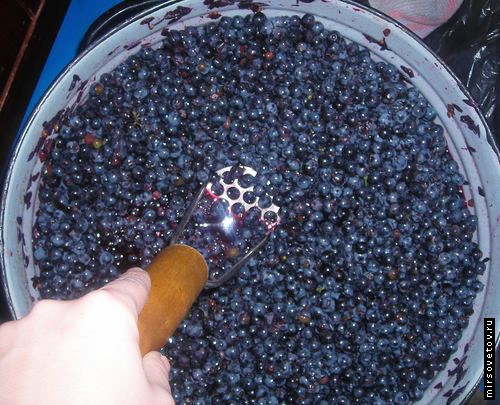 Давка винограда на вино